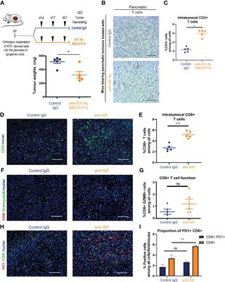 Inhibition of insulin-like growth factors increases production of CXCL9/10 by macrophages and fibroblasts and facilitates CD8+ cytotoxic T cell recruitment to pancreatic tumours